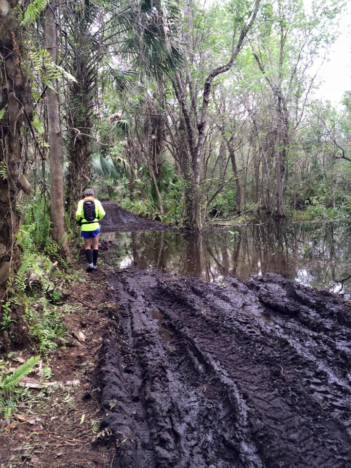 The 2016 Everglades 50K